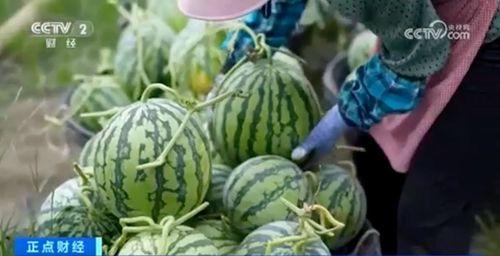 吃瓜黑料每日大赛聚集地