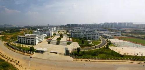 南宁二中星轨,璀璨夜空下的青春印记